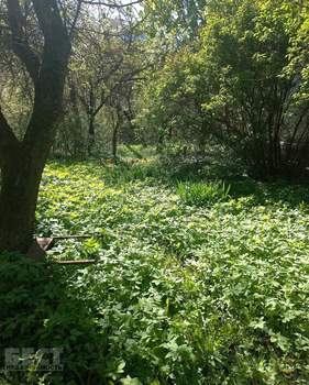 Дом 79м², 1-этажный, участок 24 сот.