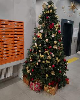 Студия квартира, на длительный срок, 25м2, 13/25 этаж