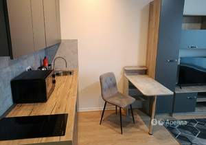 Студия квартира, на длительный срок, 24м2, 20/15 этаж