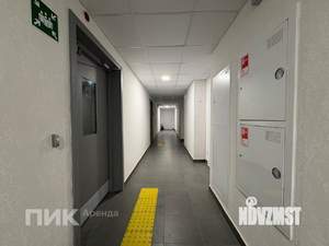 Студия квартира, на длительный срок, 20м2, 2/25 этаж