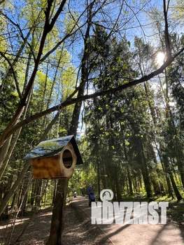 Студия квартира, посуточно, 21м2, 12/24 этаж