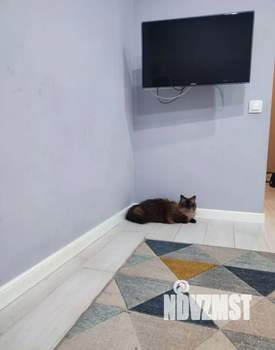 2-к квартира, на длительный срок, 36м2, 12/24 этаж