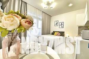 1-к квартира, посуточно, 23м2, 13/24 этаж