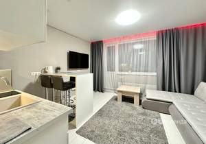 Студия квартира, на длительный срок, 30м2, 17/25 этаж