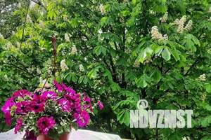 1-к квартира, посуточно, 30м2, 5/5 этаж