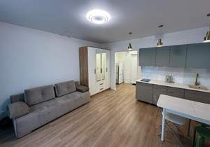 Студия квартира, на длительный срок, 25м2, 14/25 этаж