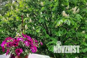 1-к квартира, посуточно, 30м2, 5/5 этаж