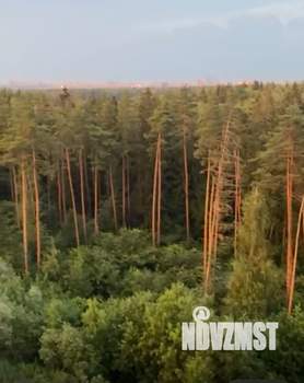 Фото квартиры в аренду (1)
