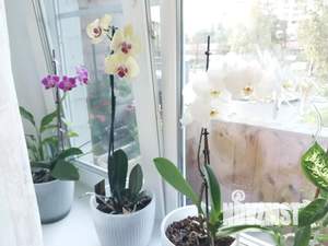 1-к квартира, посуточно, 30м2, 3/5 этаж