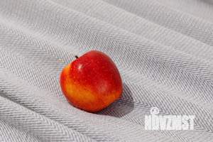 1-к квартира, посуточно, 30м2, 7/24 этаж