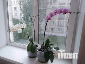 1-к квартира, посуточно, 30м2, 3/5 этаж