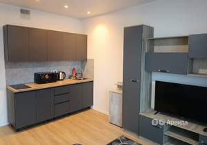 Студия квартира, на длительный срок, 24м2, 20/15 этаж