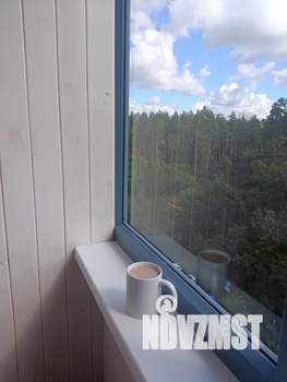 1-к квартира, посуточно, 43м2, 7/17 этаж