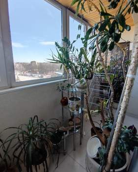 4-к квартира, вторичка, 170м2, 6/9 этаж