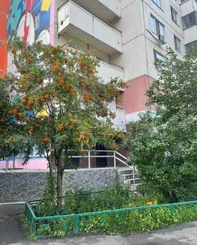 3-к квартира, вторичка, 79м2, 19/22 этаж