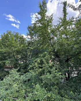 1-к квартира, вторичка, 31м2, 3/5 этаж