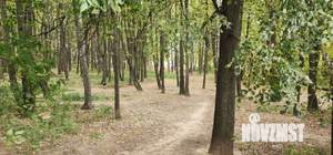 3-к квартира, вторичка, 65м2, 13/16 этаж