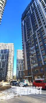 Студия квартира, вторичка, 24м2, 9/24 этаж