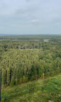Студия квартира, вторичка, 31м2, 25/25 этаж