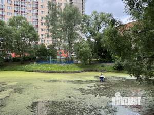 2-к квартира, вторичка, 66м2, 19/24 этаж