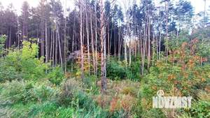 2-к квартира, вторичка, 46м2, 3/19 этаж
