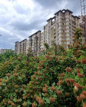 1-к квартира, вторичка, 42м2, 6/15 этаж