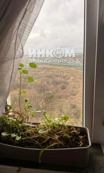 2-к квартира, вторичка, 58м2, 17/17 этаж